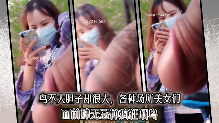 鸟不大胆子却很大，各种场所美女们面前肆无忌惮疯狂晒鸟的封面图