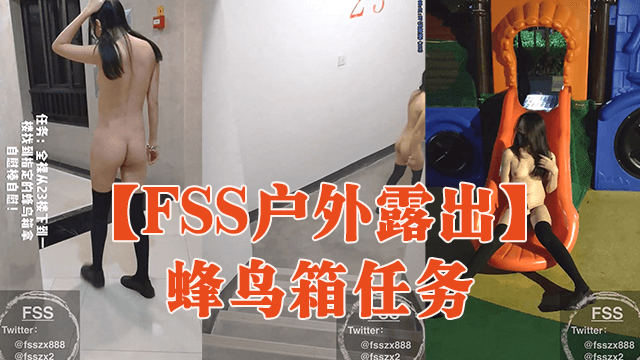 【FSS户外露出】蜂鸟箱任务的封面图