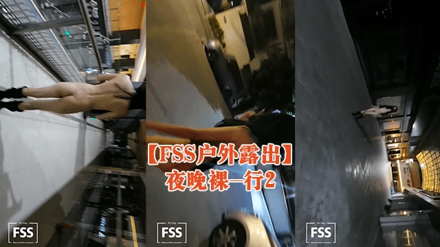 【FSS户外露出】夜晚裸-行2的封面图