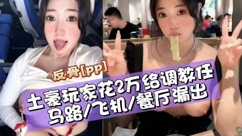 【露出调教】反骨Ipp土豪玩家花2万络调教庄马路飞机餐厅漏出的封面图