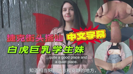 捷克街头搭讪白虎巨乳学生妹出高价户外打野战的封面图